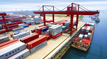 商贸物流标准化专项行动落地实施，90家重点单位助推货物进出口升级