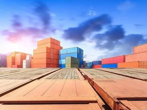 货物进出口申报 关键环节与实务指南