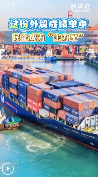 民企领跑外贸新格局，货物进出口展现强劲活力